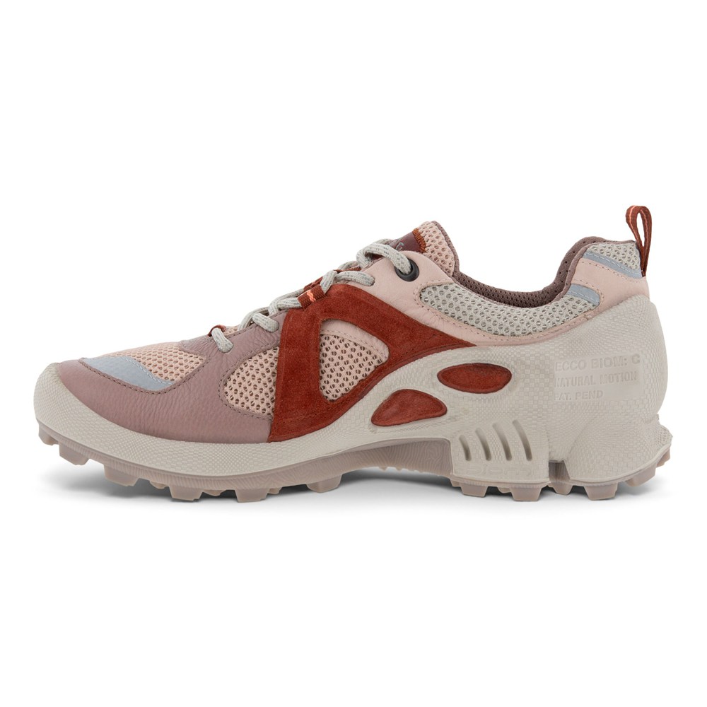 ECCO Womens Hiking Shoes Multicolor - Biom C-Trail Low - GOU-301897